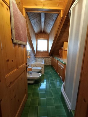 Shower, hair dryer, bidet