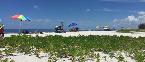 Camastros y toallas de playa