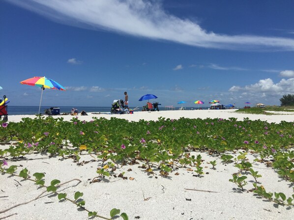 Sillas reclinables de playa, toallas de playa