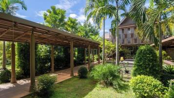 Un espacio al aire libre techado con un sendero, rodeado de exuberante vegetación y palmeras.