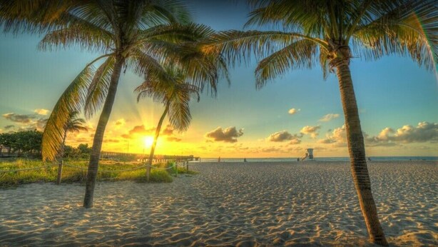 Une plage bordée de palmiers, avec un coucher de soleil.