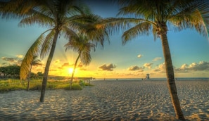 Uma praia com palmeiras e um pôr do sol.