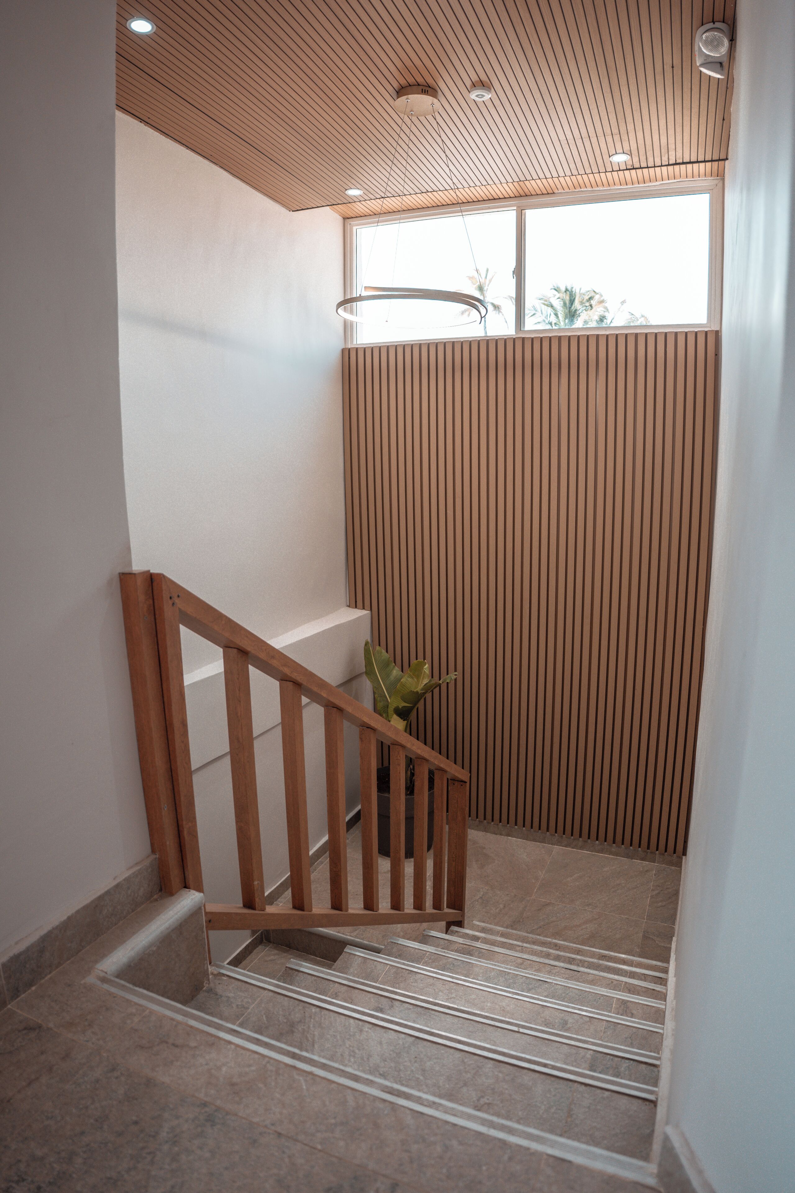 Un escalier avec des rampes en bois et une plante, menant à une pièce dotée d’un plafond en pente et d’une fenêtre.