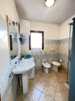 Shower, hair dryer, bidet, towels