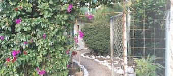 Near Sixflags and Convention Center -Private Room -2 beds -Terrace