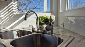 Una cocina con dos fregaderos de acero inoxidable, un grifo moderno y una planta en maceta.