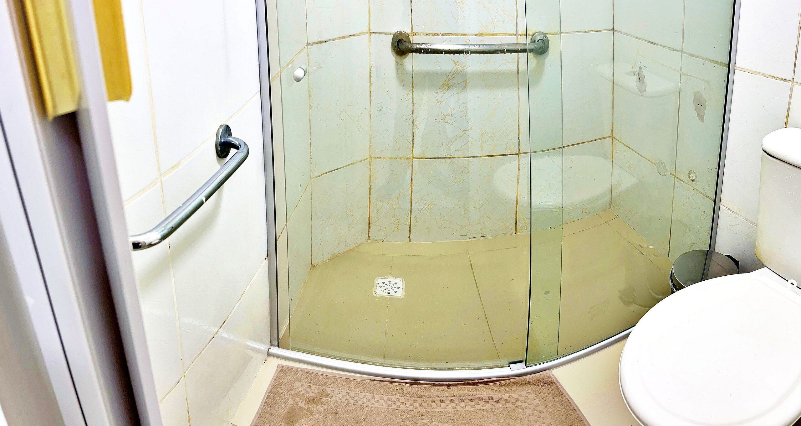 A bathroom with a glass-enclosed shower, a toilet, and a handrail.