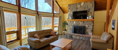 Smart TV, fireplace, printers