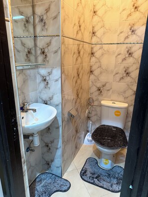 Shower, towels, toilet paper