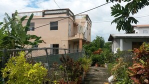 Un barrio residencial con un sendero estrecho, una cerca de alambre y varios maceteros con plantas.