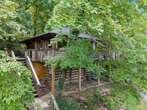 Exterior - 🌼COZY LAKEVIEW CABIN💐 - Jetted Tub, Fireplace, WiFi + 3 miles to Dwtn Eureka (Eureka Springs)
