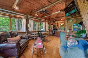 TV connectée, cheminée, lecteur de DVD, livres