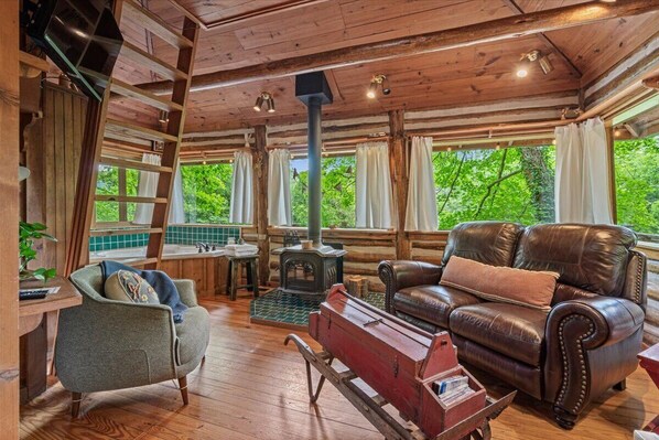 Interior - 🌼COZY LAKEVIEW CABIN💐 - Jetted Tub, Fireplace, WiFi + 3 miles to Dwtn Eureka (Eureka Springs)
