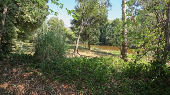 A natural outdoor area with dense vegetation, trees, and a body of water. - The Rocks - Maple Tiny Home (Bright)