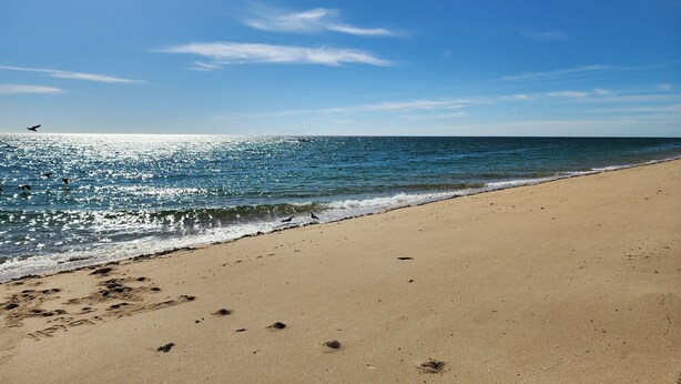 Ein Strand mit Fußabdrücken und blauem Himmel.