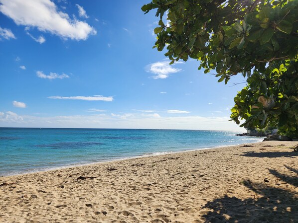 Beach - Aquatika Beach Apartment/20 mins to El Yunque / 30 mins airport (Loiza)