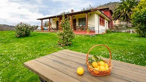 A wooden table with a basket of lemons and a single lemon, set on a grassy lawn with a house in the background.