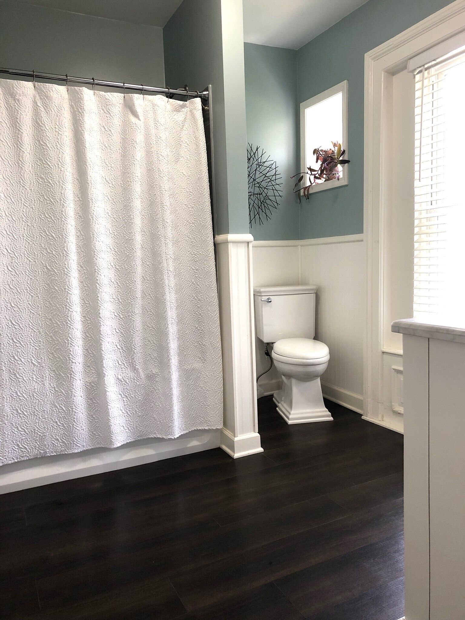 A bathroom with a white toilet, a shower curtain, and a dark wooden floor.