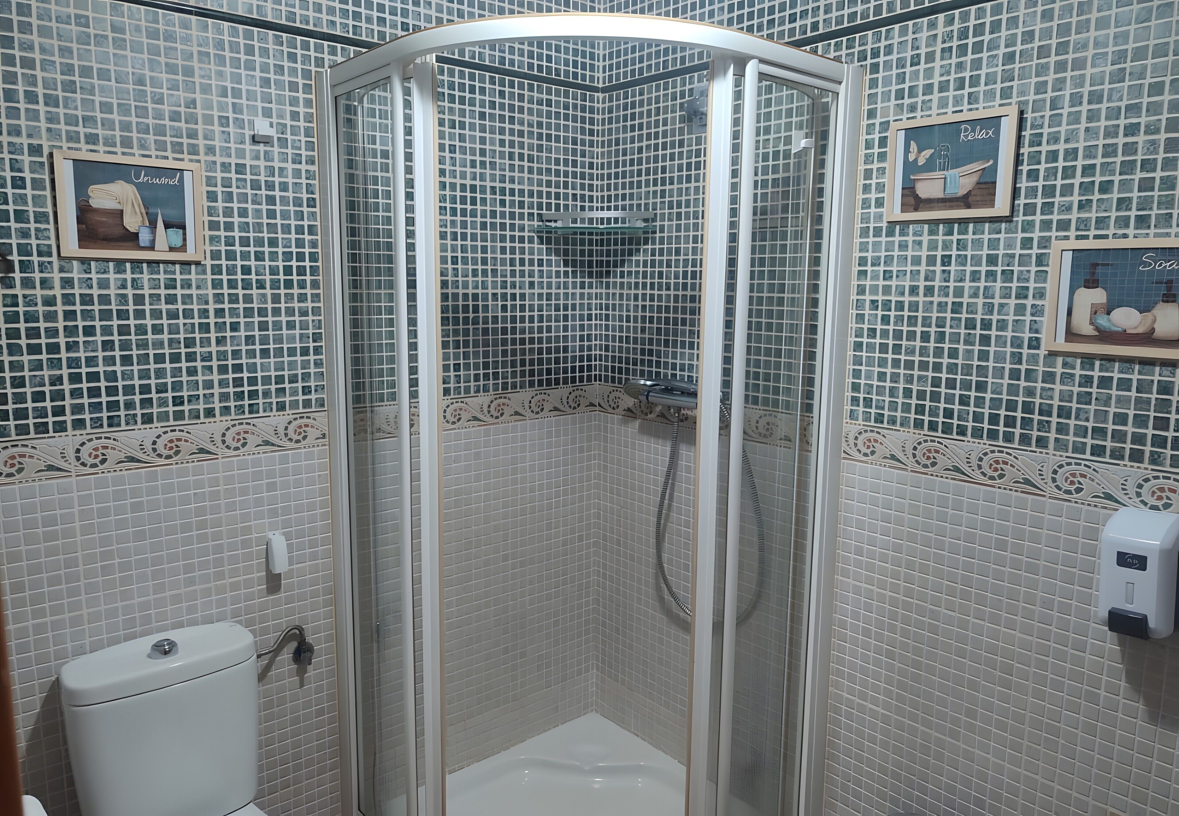 A corner shower with a glass door, tiled walls, and a toilet.