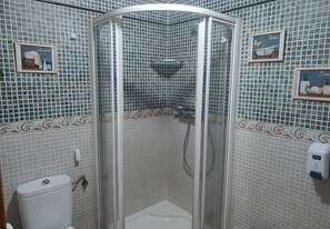 Ducha en esquina con mampara de vidrio, paredes con azulejos y un inodoro.