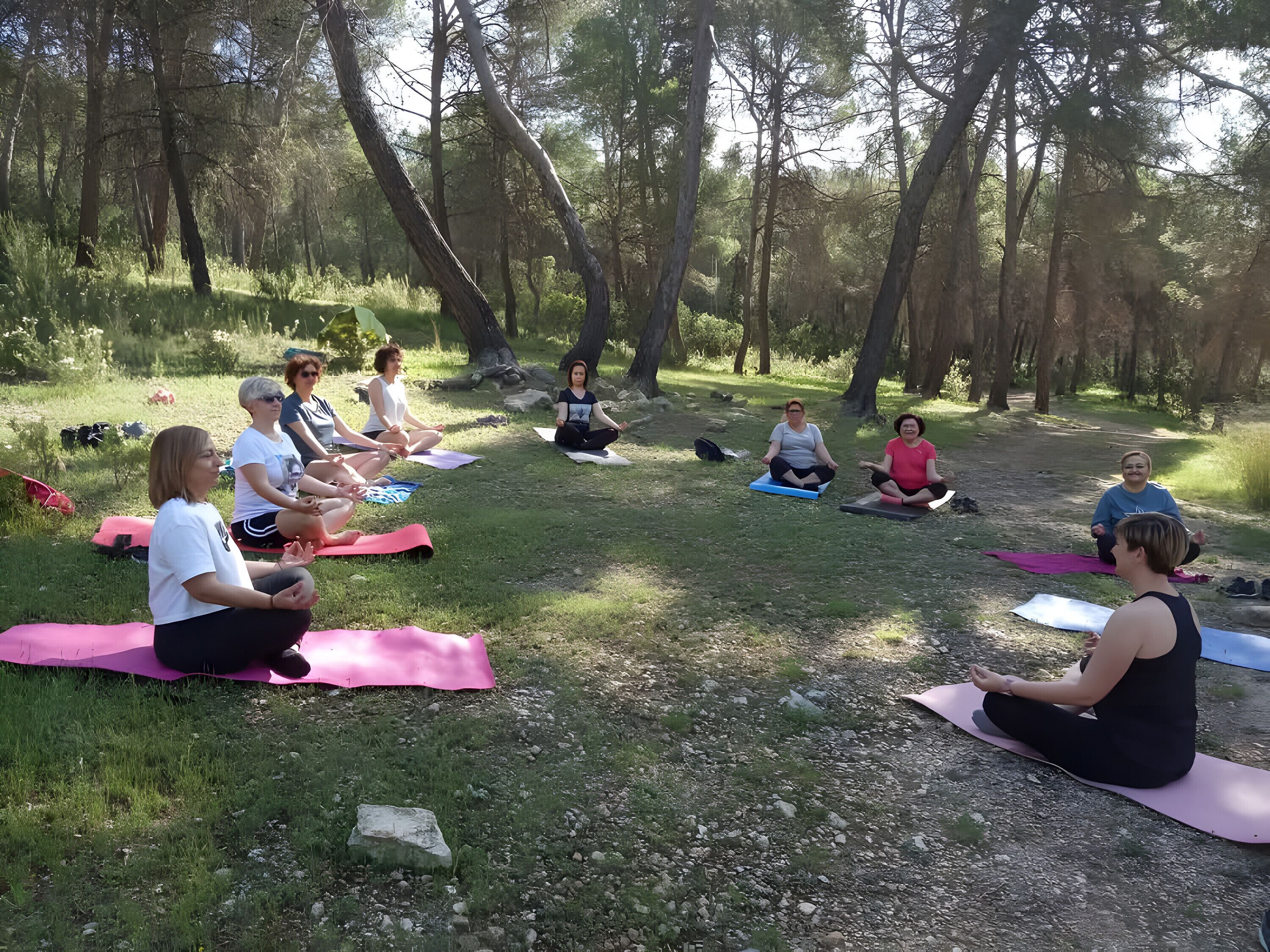 Parco della struttura