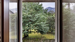 A window with a view of a tree and a fence.