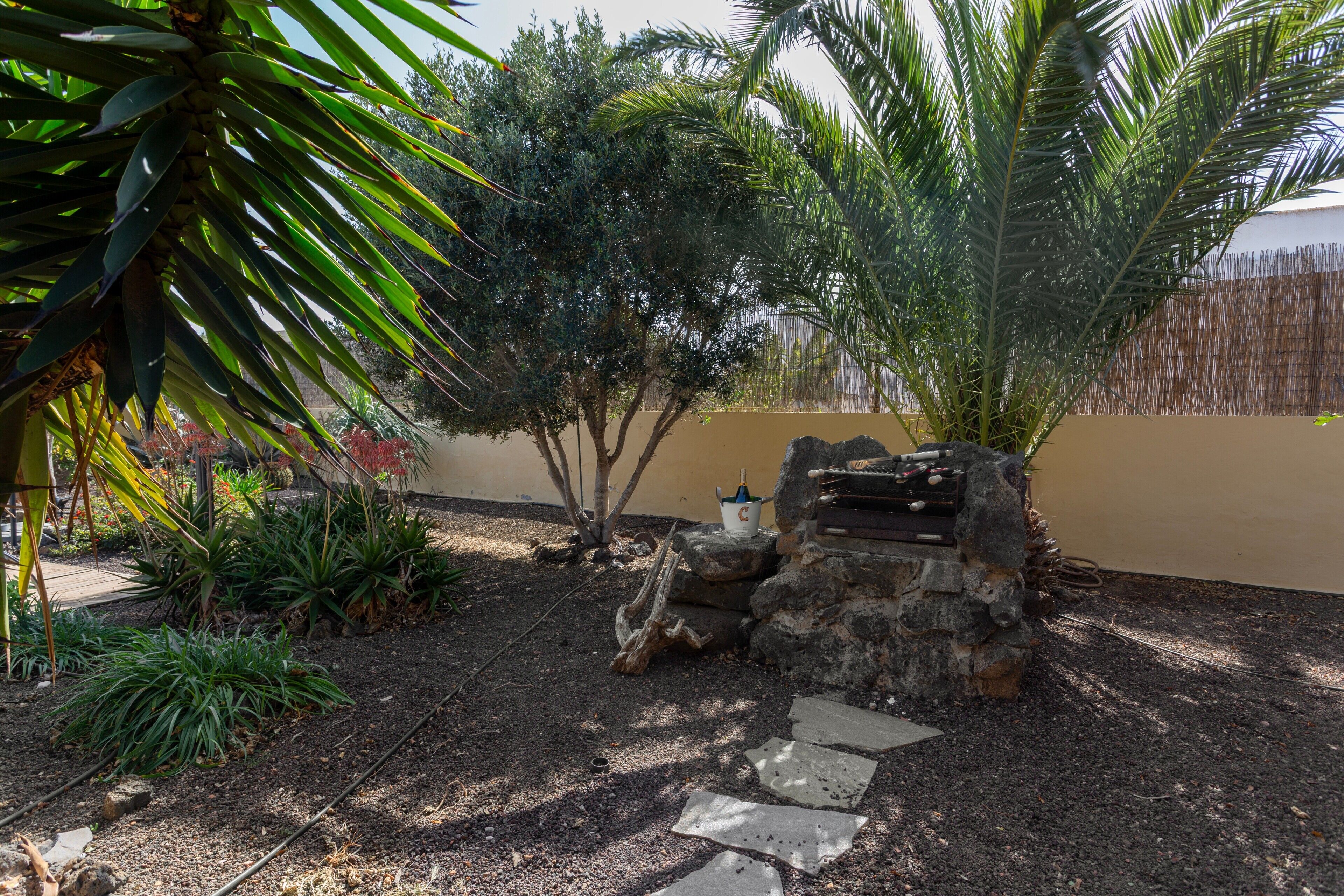 Un jardin agrémenté d’un banc en pierre, de palmiers et de diverses plantes.