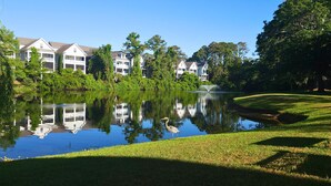 Vista tranquila de um lago, com uma fileira de casas brancas, uma área gramada e o reflexo dos edifícios na água.
