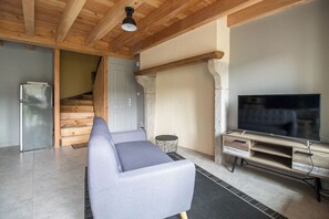 TV, fireplace - Les Hirondelles - JOB (JOB)