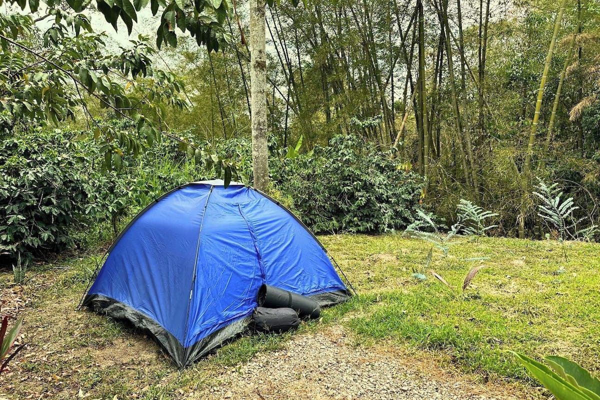 1 bedroom, free WiFi