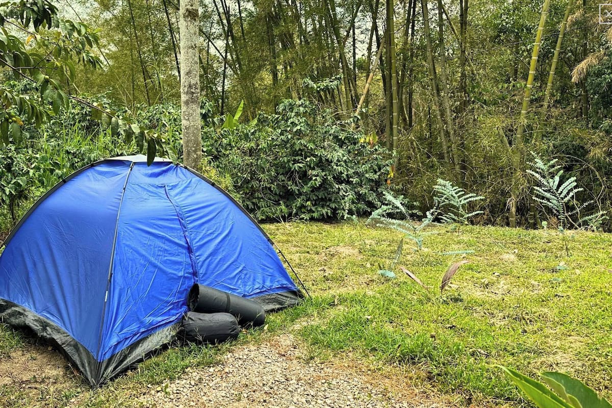 Basic Tent | 1 bedroom, free WiFi