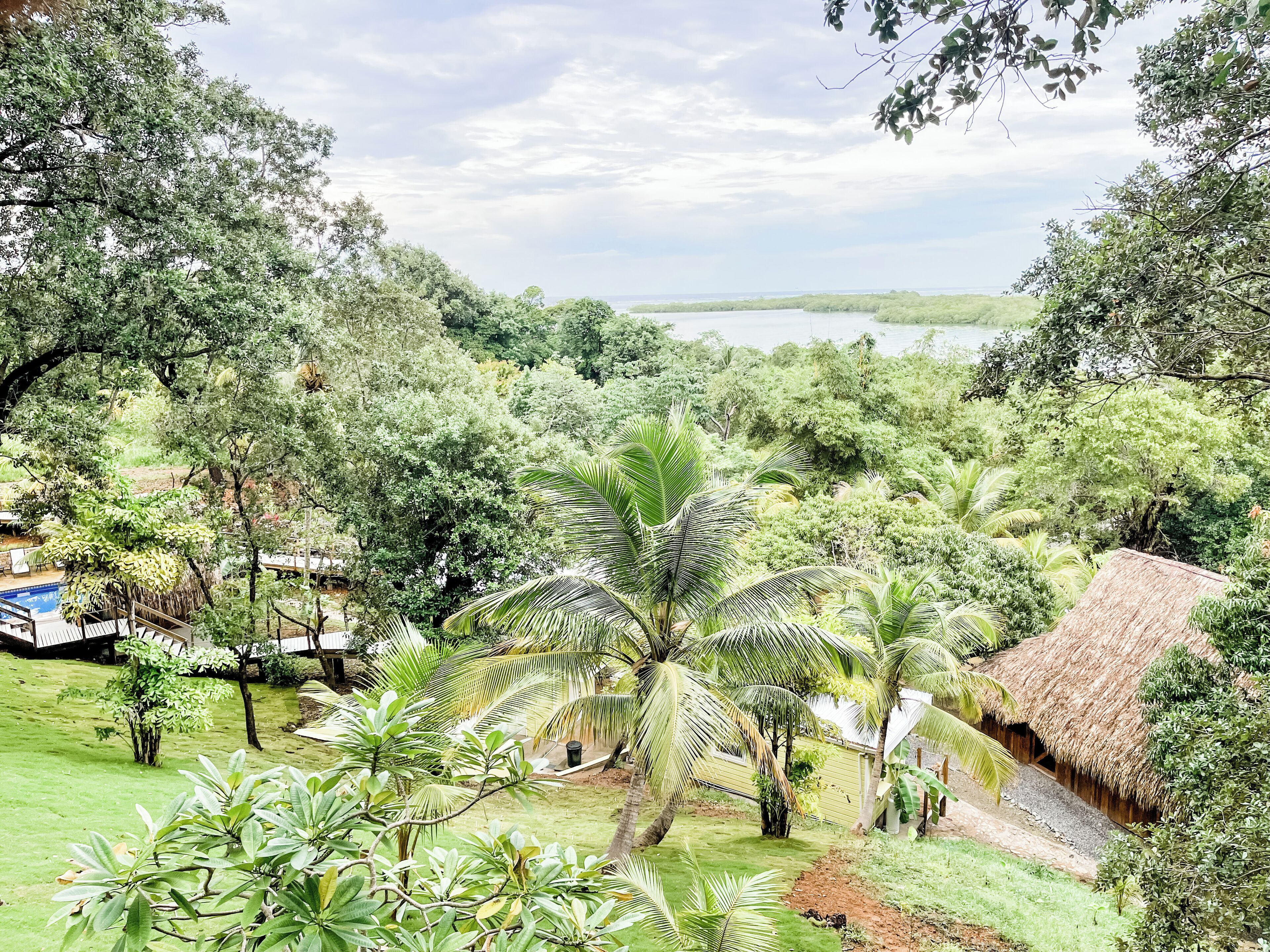 A lush landscape with a thatched-roof hut, a swimming pool, and dense greenery.