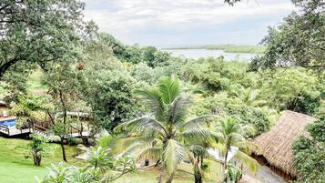 A lush landscape with a thatched-roof hut, a swimming pool, and dense greenery.