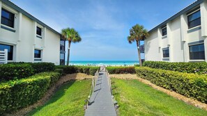 Immagine non classificata, 5 di 40, pulsante