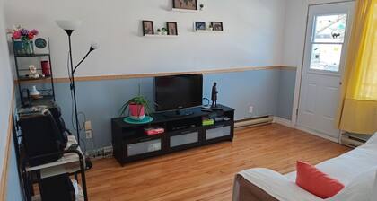 Family-friendly apartment close to the botanical gardens