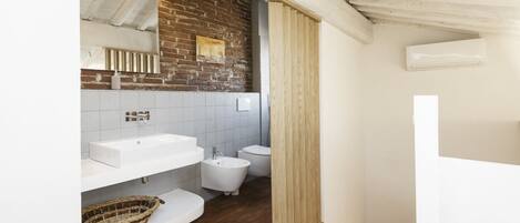 Shower, hair dryer, bidet, towels