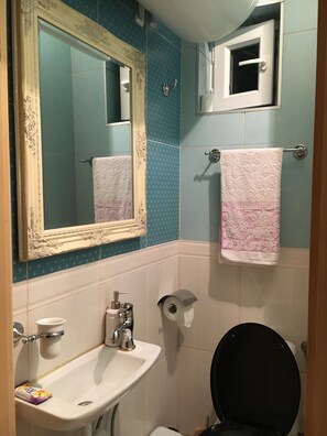 吹风机、毛巾、肥皂、卫生纸