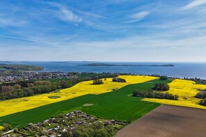 Unclassified image, 3 of 35, button