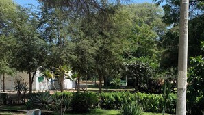 A paved pathway with a curb, surrounded by lush greenery and trees. - 🏡 Cozy Apartment in Piura - Safe, Central and Comfortable (Piura)