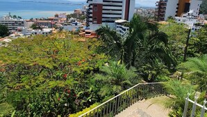 Un paisaje urbano costero con edificios modernos, cielo despejado y abundante vegetación.