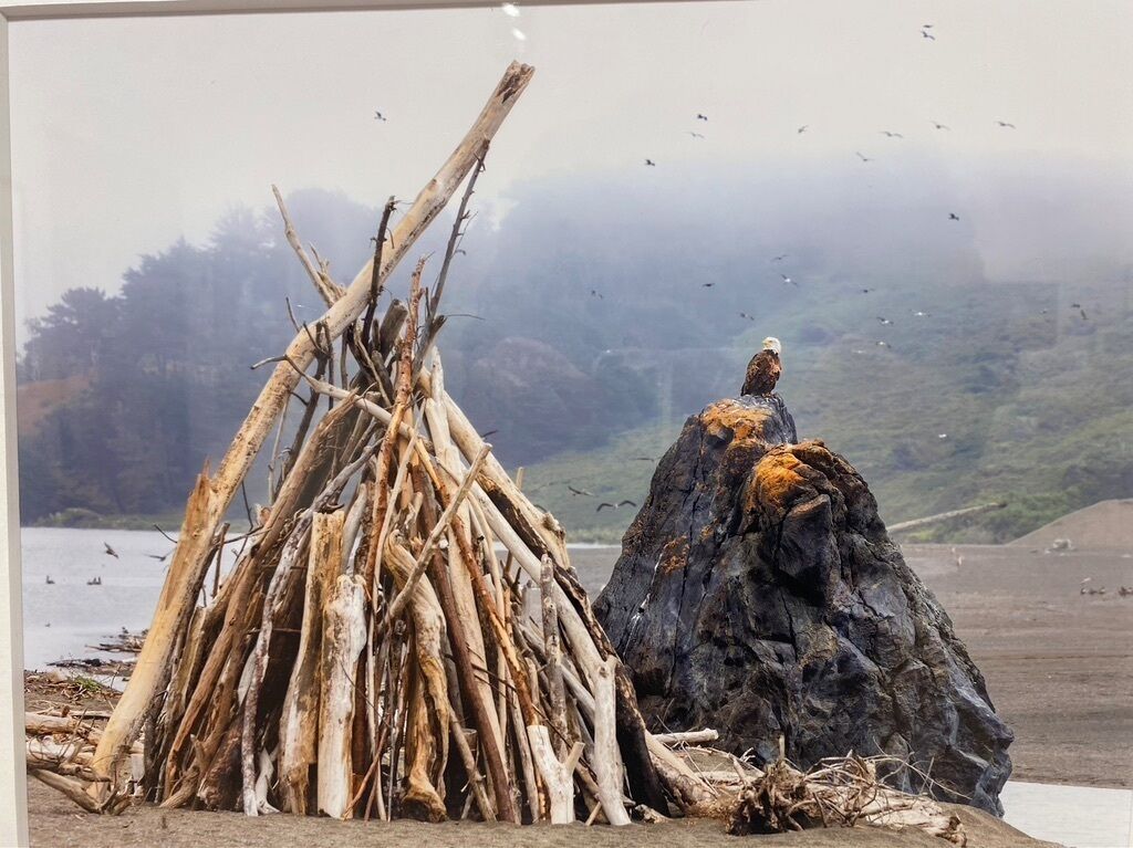 A natural landscape with a pile of driftwood and a large rock formation.