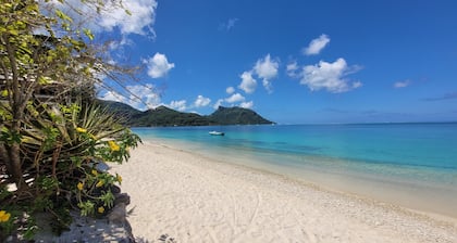 Te Hana – Just 100 meters from the beach