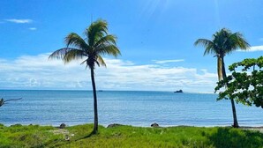 A beach with two palm trees and a clear view of the ocean. - SeafrontApartment-Sleeps4-Pool-Parking-Garden (Porlamar)
