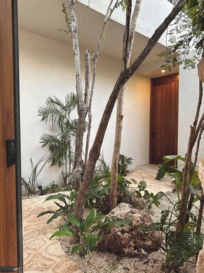Escape to a serene oasis with lush tropical plants and a peaceful atmosphere.