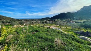 Vista desde la propiedad