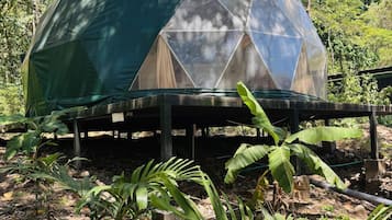 Enceinte de lâhĂ©bergement