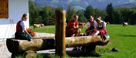 A group of people sitting on a log bench outdoors with a mountain backdrop.