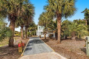 A pathway leading to a house surrounded by palm trees.