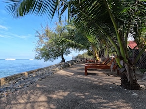 Zona de playa con un banco de madera, palmeras y un muro de piedra.