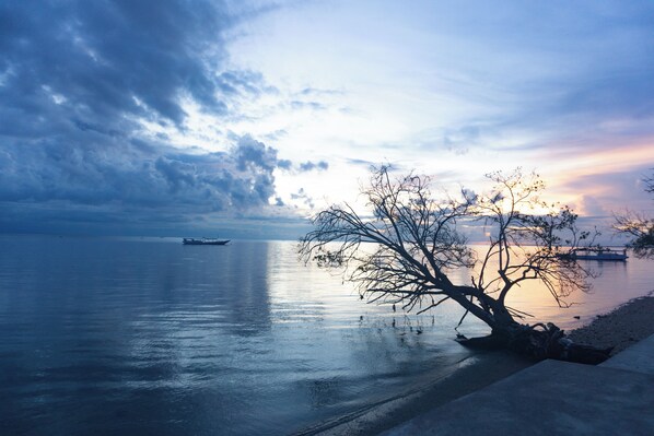 A calm body of water with a boat in the distance and a tree in the foreground. - Maryan Moyo Bungalows and resto (Moyo)